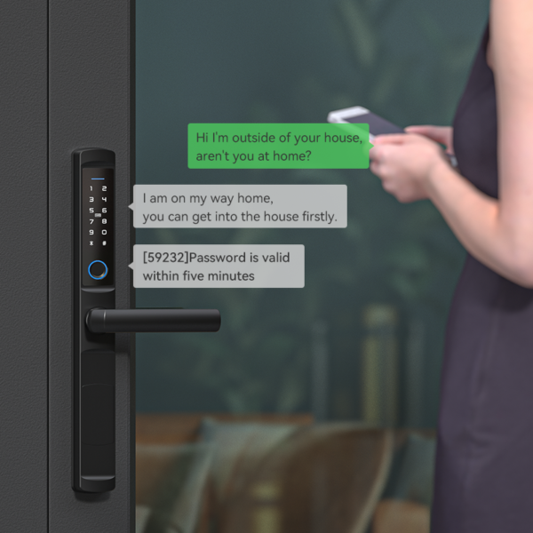 Waterproof Smart Fingerprint Password Card Door TTLock Wifi Lock Aluminum Alloy for Outdoor Pull Push Sliding Door - Image 2